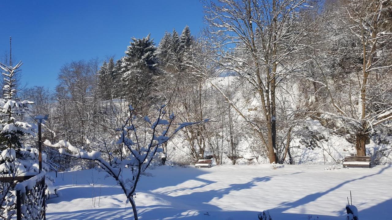 Gallery Of Mountains Holiday Home Yasinya Exterior foto